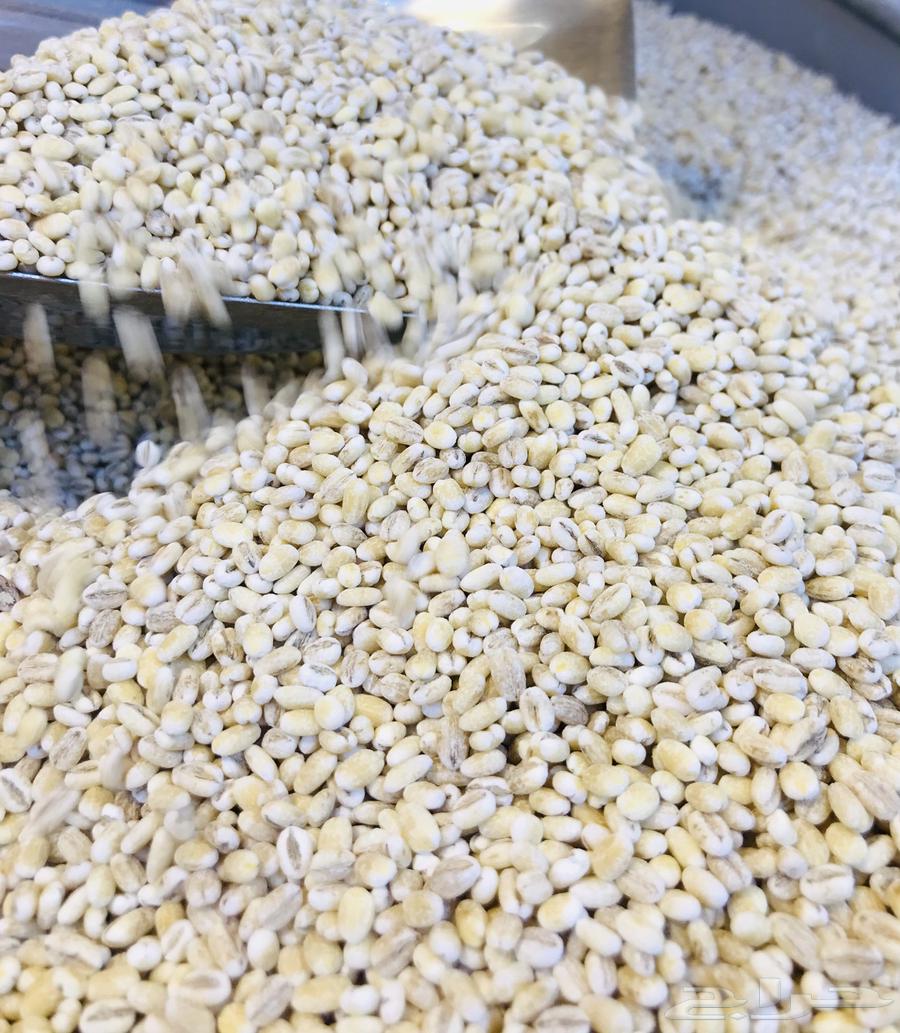 شوفان امريكي حب شوفان شوربه64537602310402111