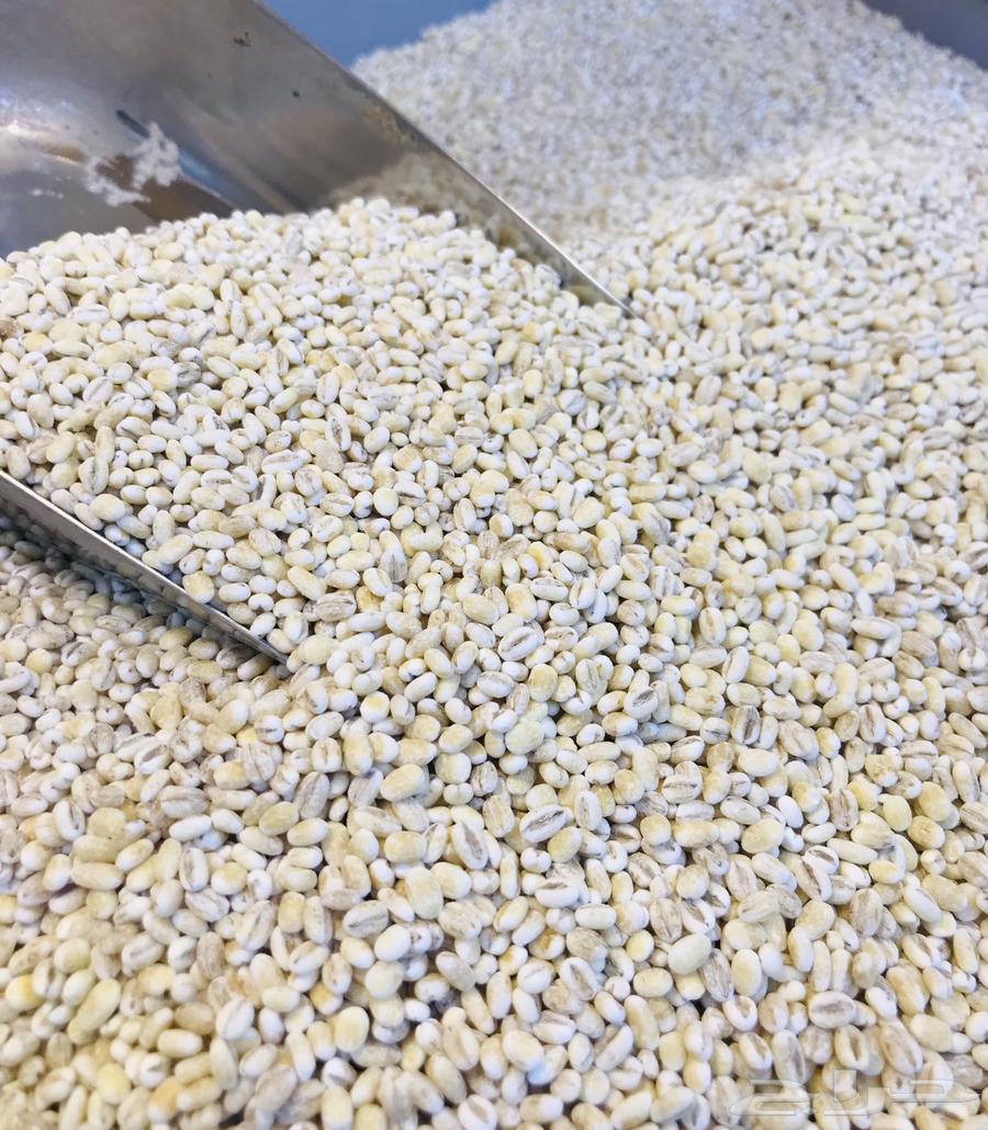 شوفان امريكي حب شوفان شوربه64537602310402110