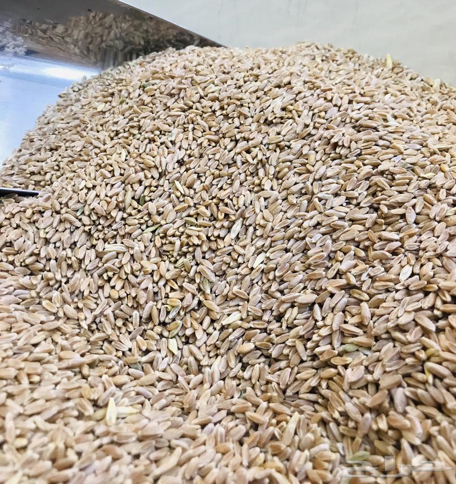 بر تنومه بر النماص بر السوده64542557857794110