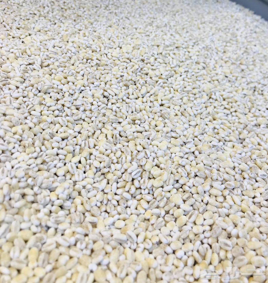 شوفان امريكي حب شوفان شوربه64537602310402112