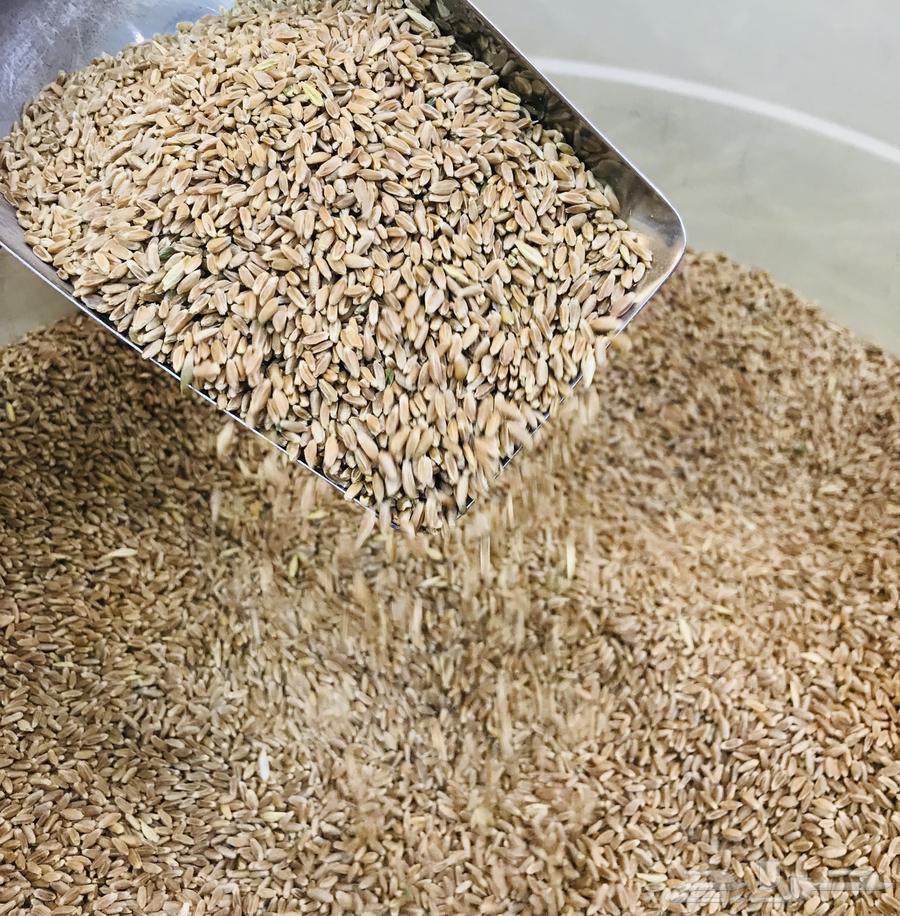 بر تنومه بر النماص بر السوده64542557857794111