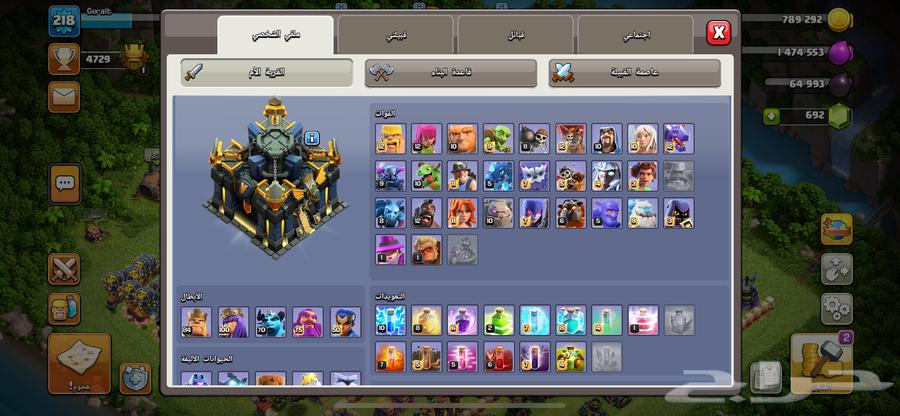 Semi-Max village with maxed out defense and storage at selling price64541522825985113