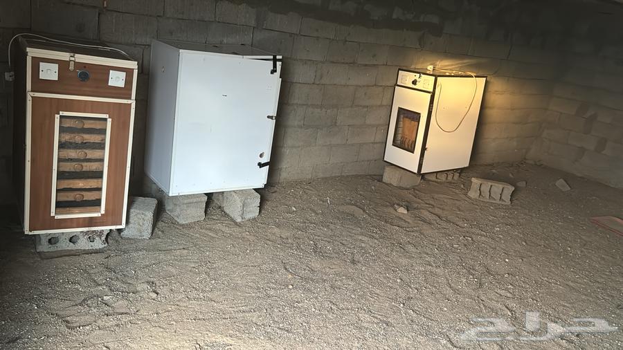 Incubators for sale64541478391169110