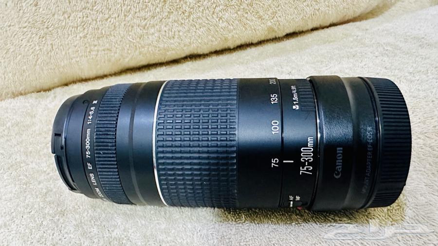 عدسة كانون EF 75-300 نظيفة وباستخدام بسيط64537254225667111