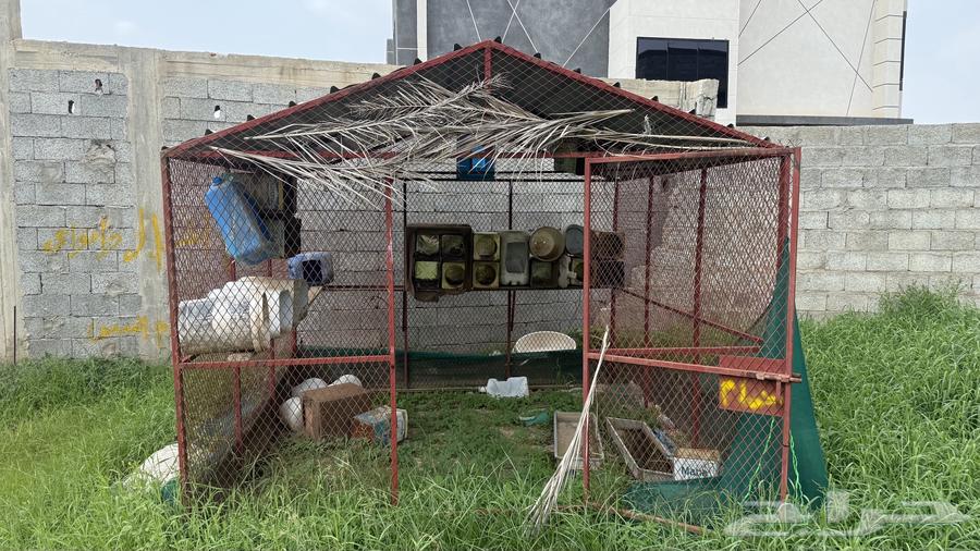 Pigeon cage three meters in length and three meters in width, price 85064538415560194113