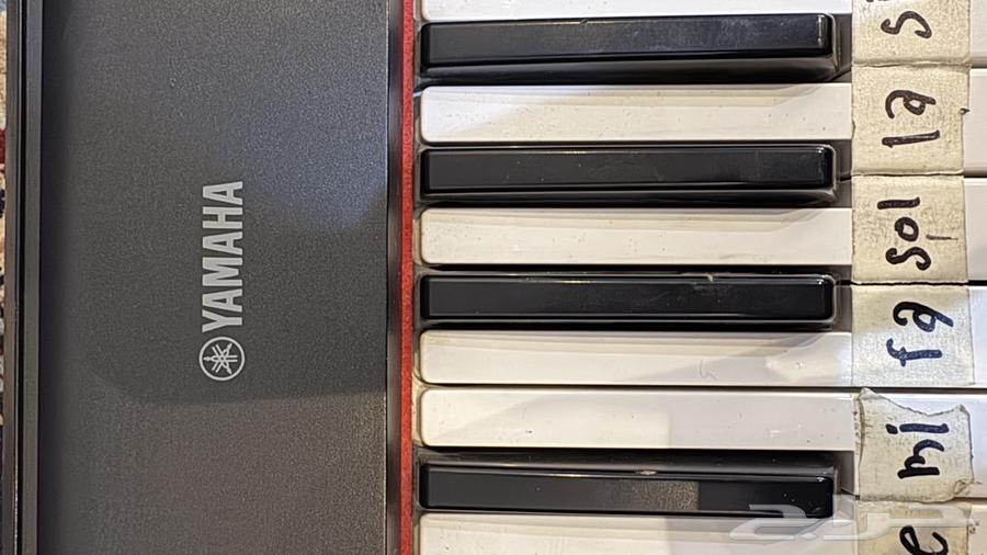 اورق ياماها NP-12 رقمي على السوم64536641065217113