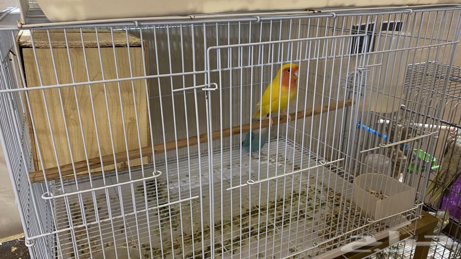 Day64537714895235112