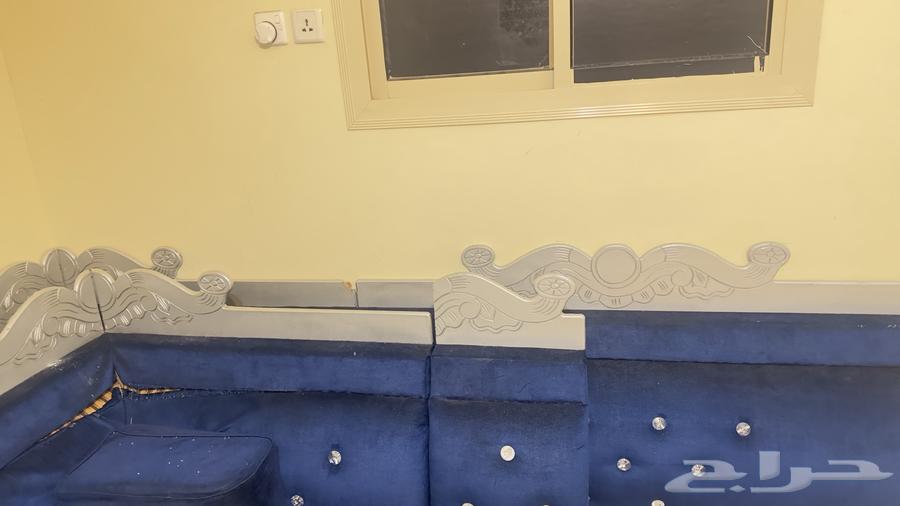 كنب ازرق وفضي64537546672259111