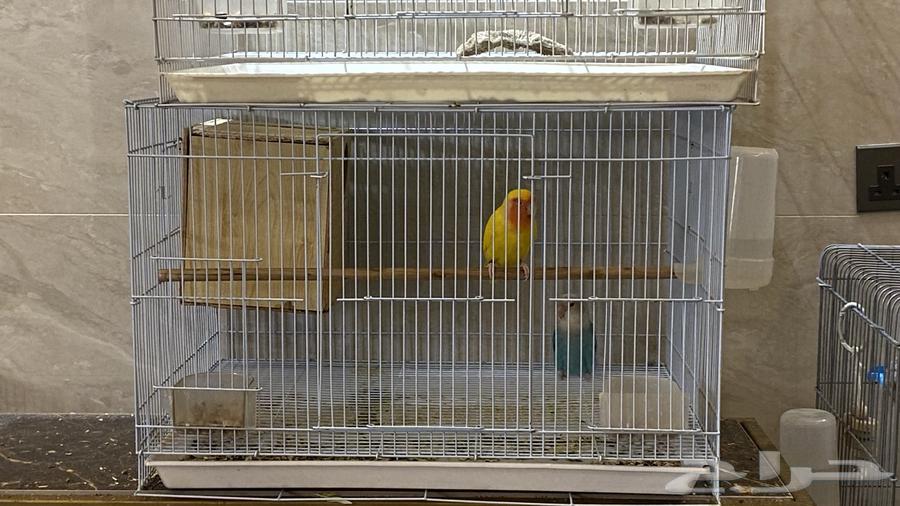 Day64537714895235111