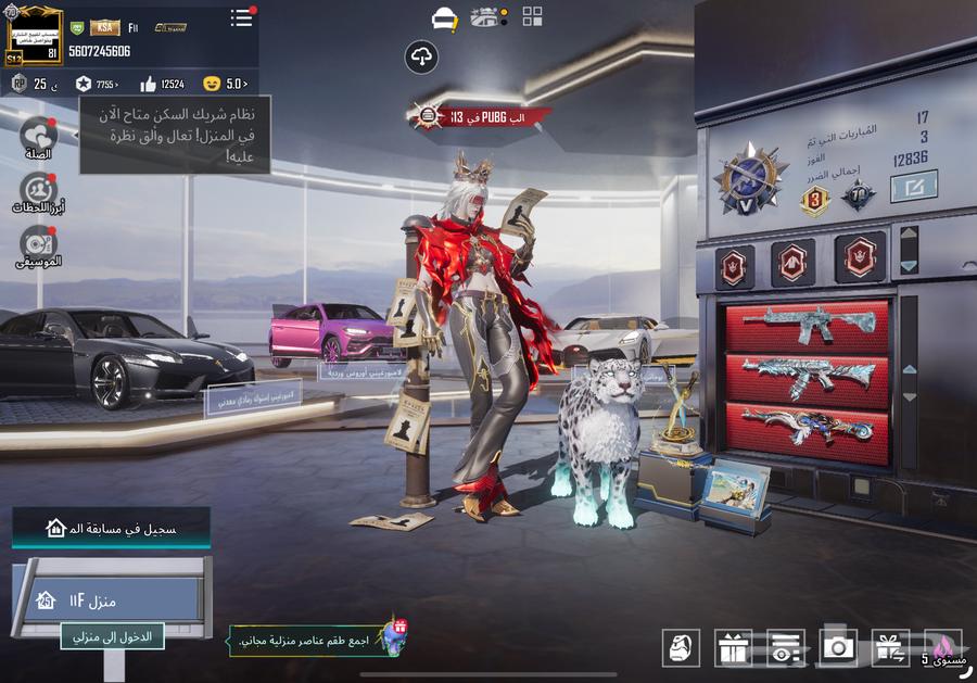 حساب ببجي للبيع مطنوخ قابل للتفاوض64528252662402112