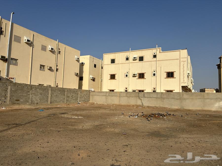 ارض للإيجار