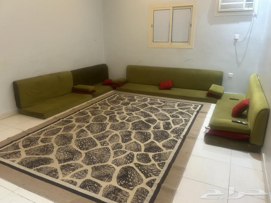 Floor seating with carpet64536641094146110