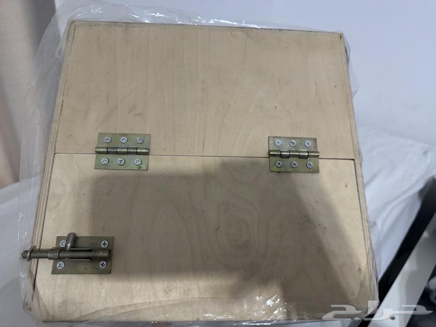 Bird nest64543450473987112