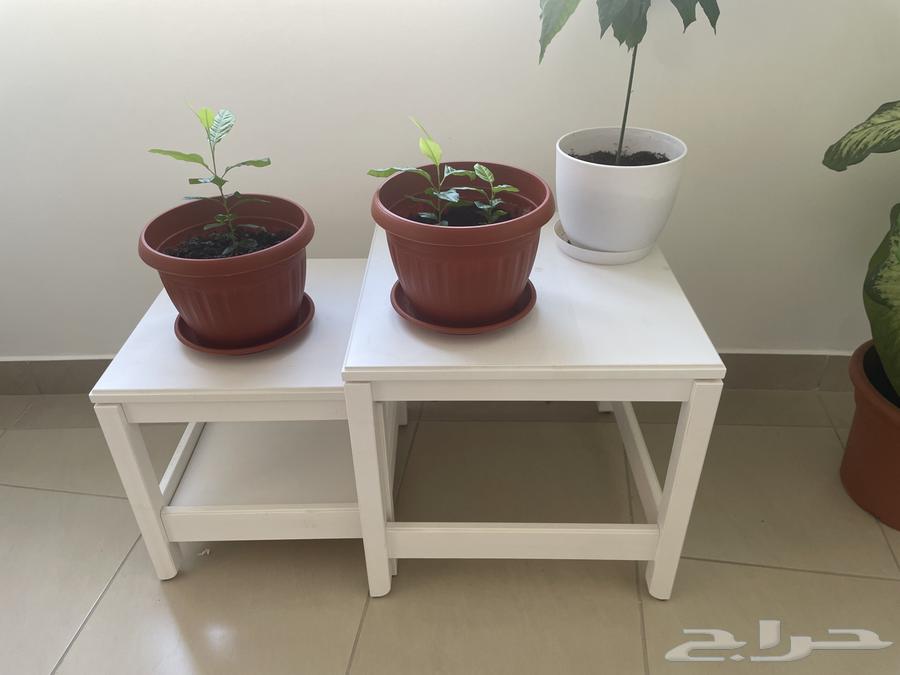 كثير من أثاث ايكيا للبيع64539542924802113