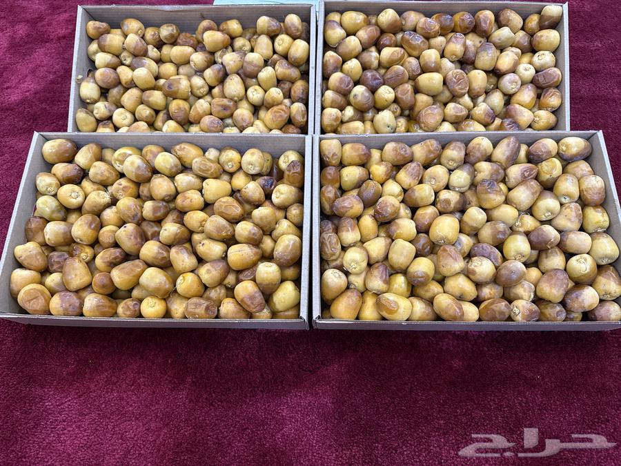 For sale Sukkari dates64537156215299111