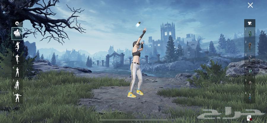 حساب ببجي للبيع64539130264705112