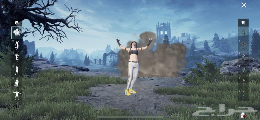 حساب ببجي للبيع64539130264705111