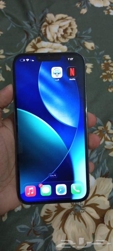 13 Pro Max64538763036931114