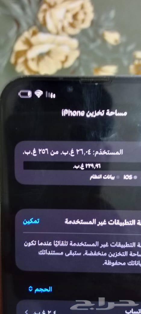 13 Pro Max64538763036931112