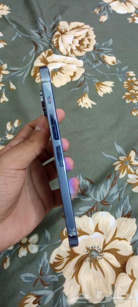 13 Pro Max64538763036931113