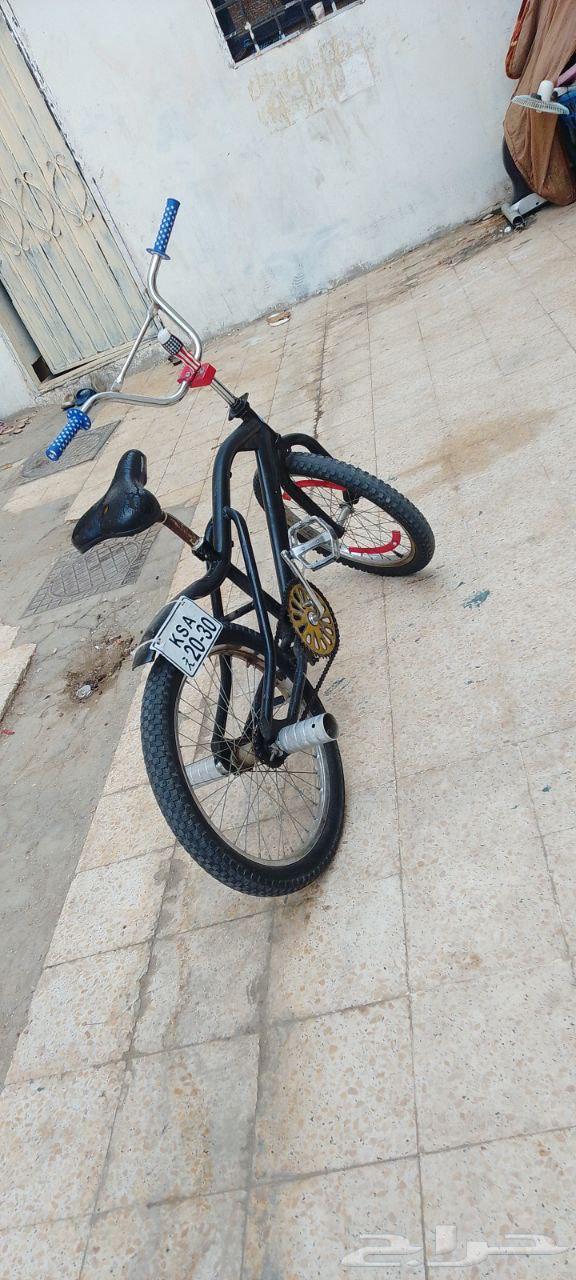 سيكل كوبرا64541864274305110