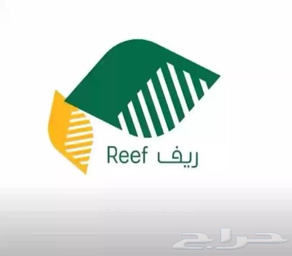 Registration in (Rif Support) for unemployed individuals, housewives, and retirees64543436270209110