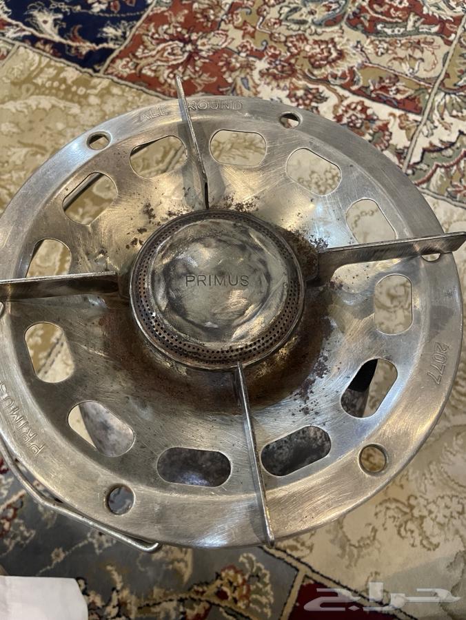 دافور بريموس قديم64542899093633110