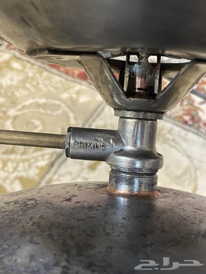 دافور بريموس قديم64542899093633112