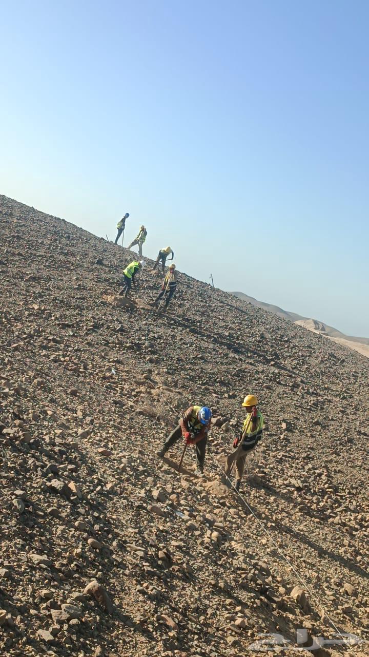 موسسه ارام القمه لاالمقاولات العامه64207062284930112