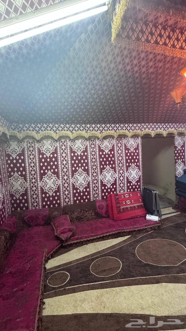 بيت شعر للبيع64537588682498112