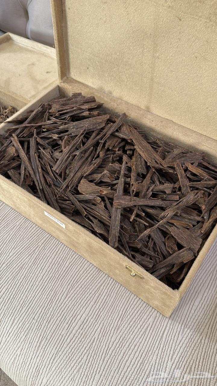 عود هندي غابات آسام اعلى درجات من الجودة خاص الخاص64542628779137110