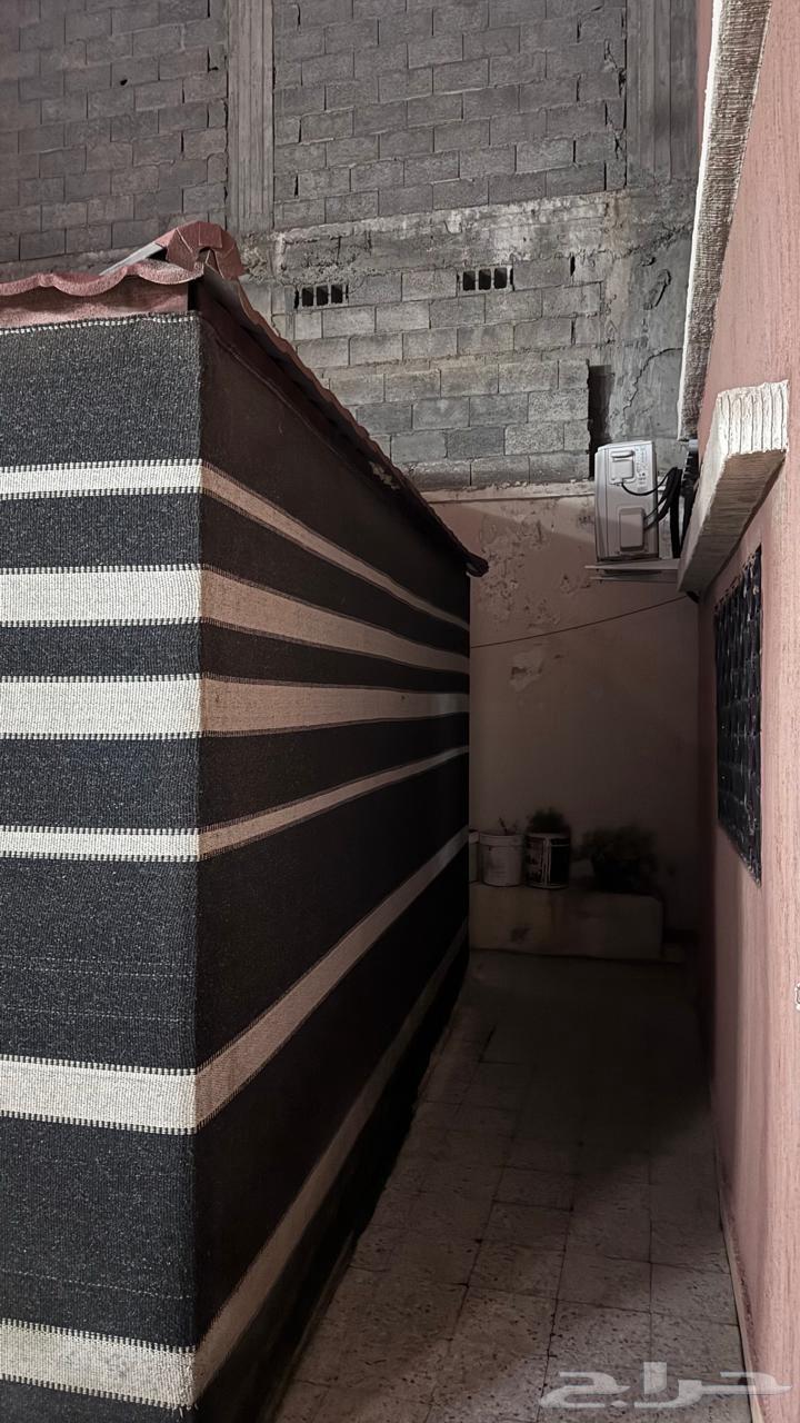 بيت شعر للبيع64537588682498114