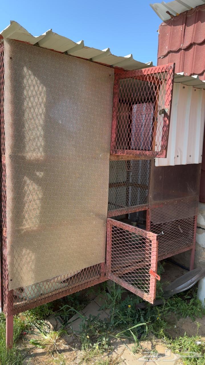 Iron box64537644963329111