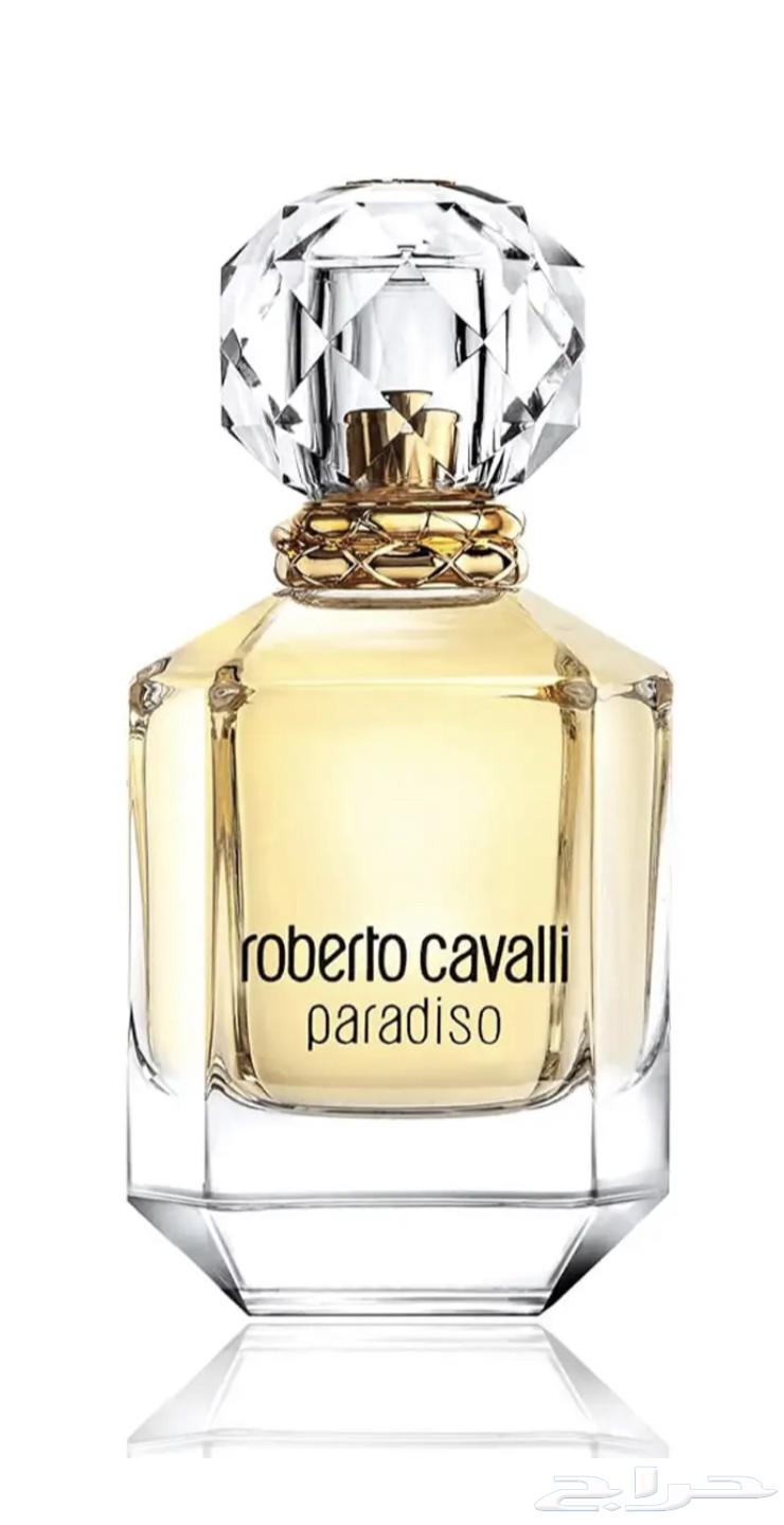 روبورت ك الي برادايس64541492339715110