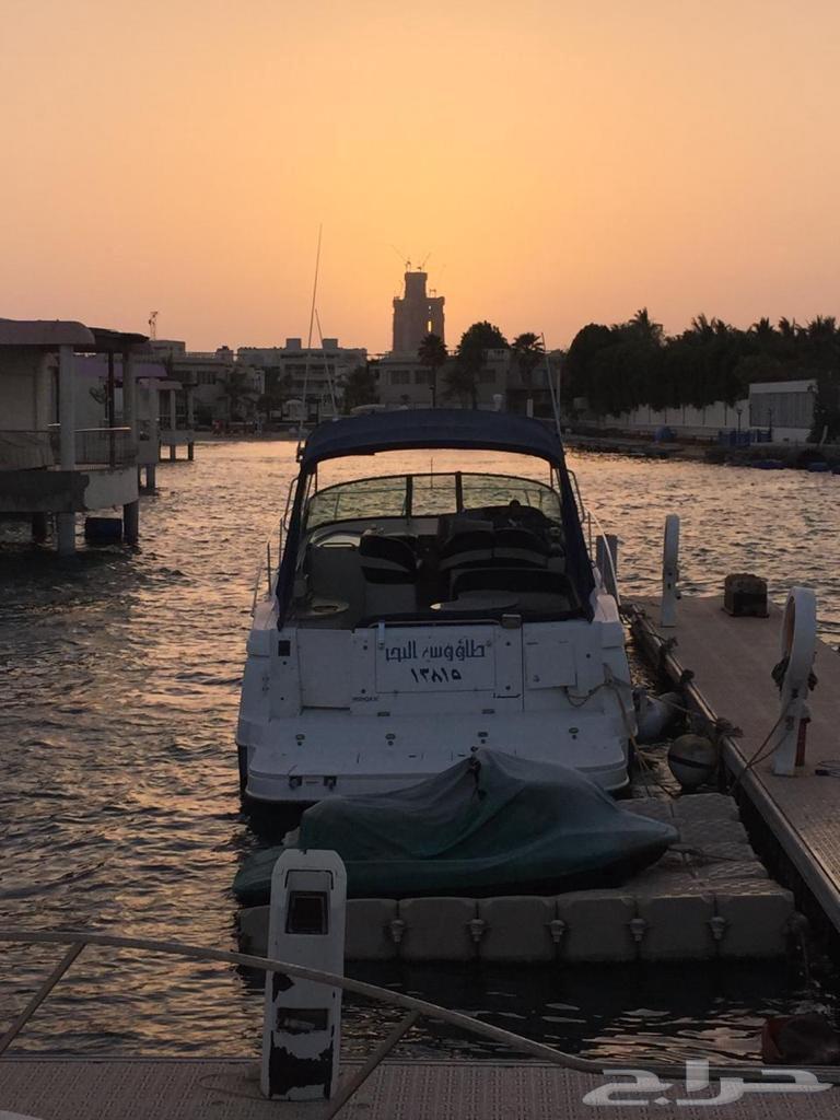 للبيع يخت 42 قدم أمريكي64541778816258111