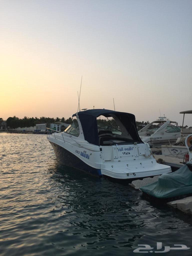 للبيع يخت 42 قدم أمريكي64541778816258112