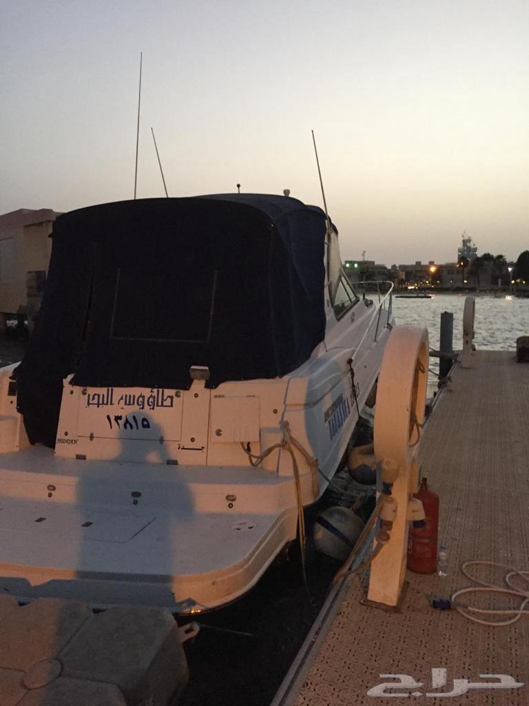 للبيع يخت 42 قدم أمريكي64541778816258114