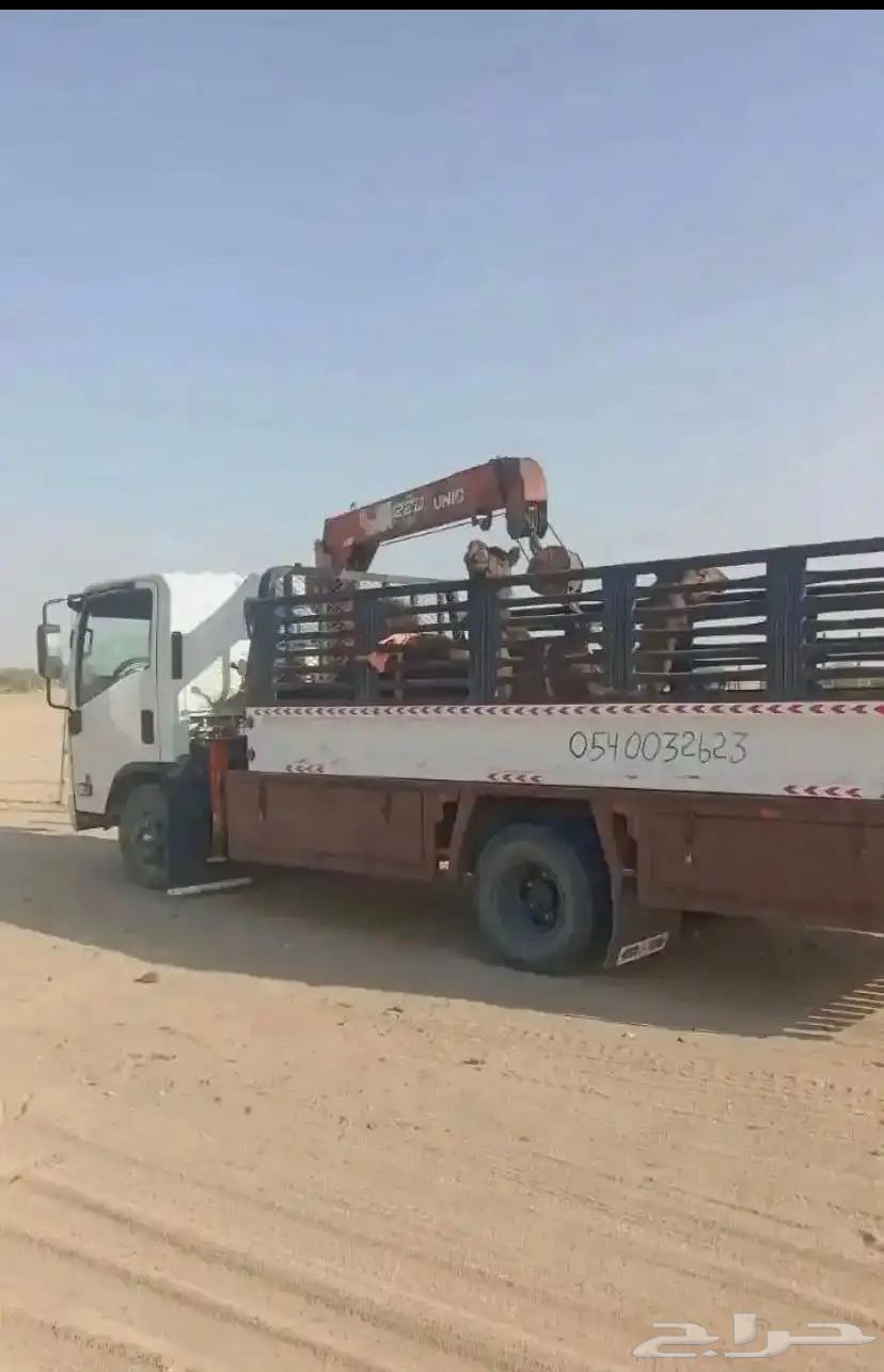 دنا هيدروليك64475973999873110