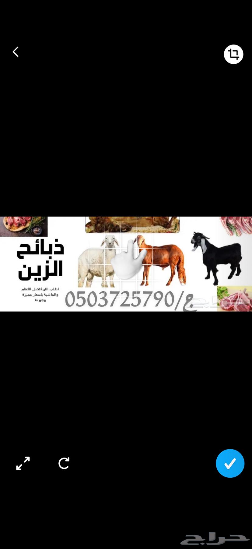 Slaughters for sale, clean, fresh, local Sudanese goats64542700336771110