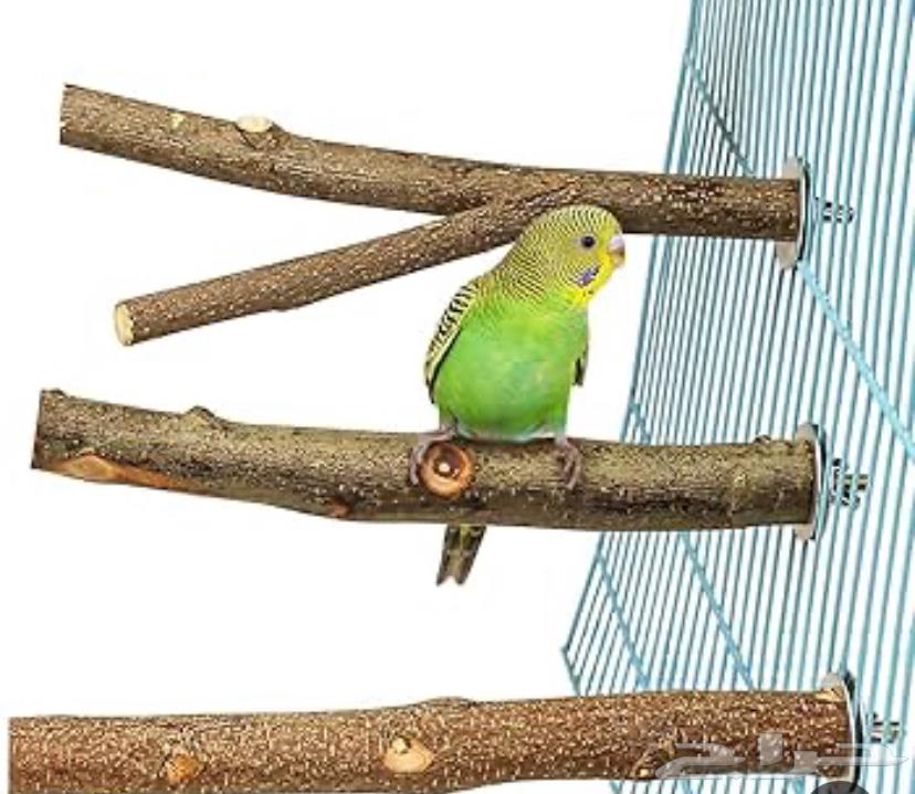 قفص طيور64543294898179111