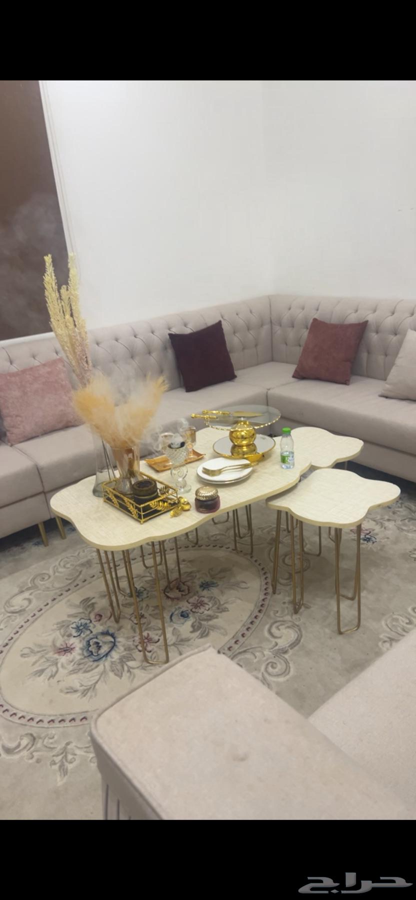 زوليه64541335751937112