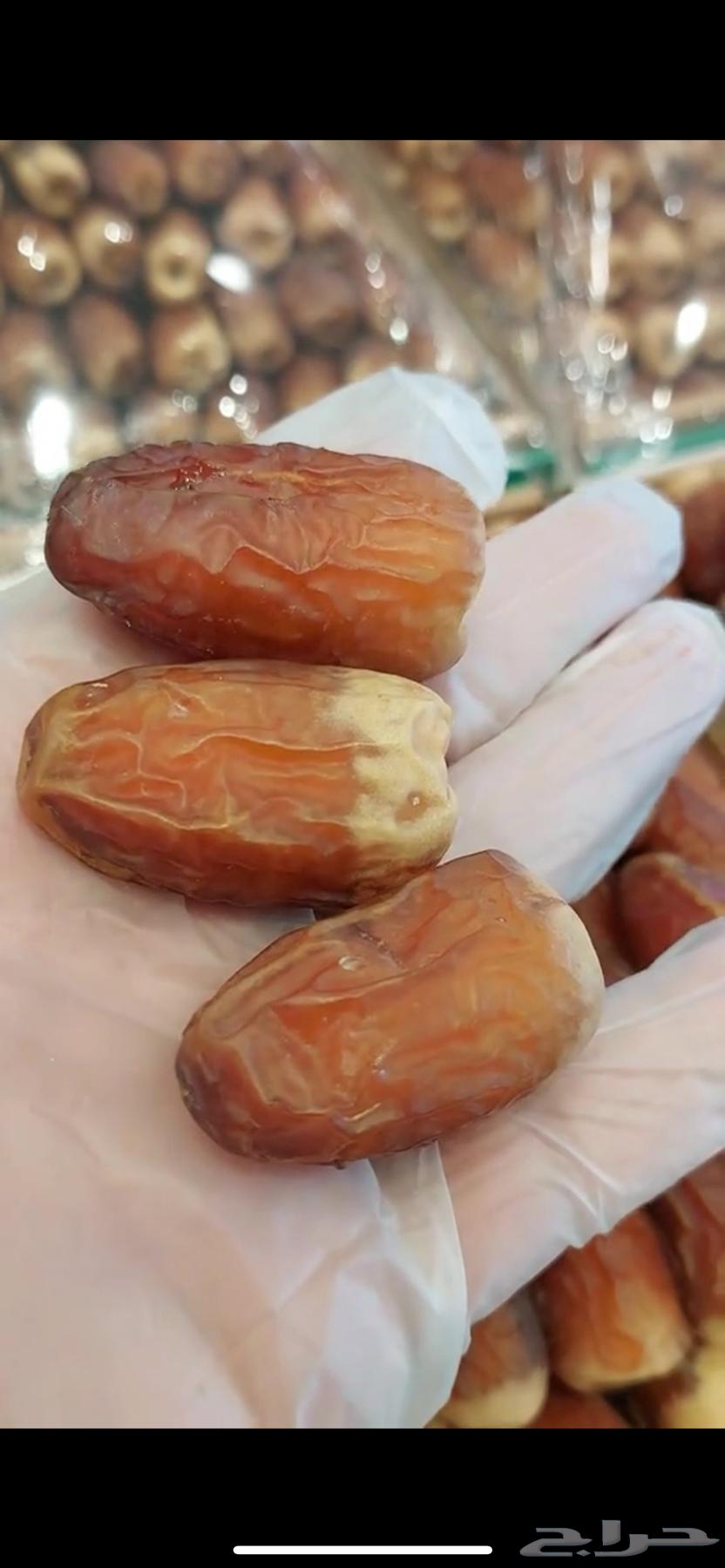 Tamr Saqee64543450552195111