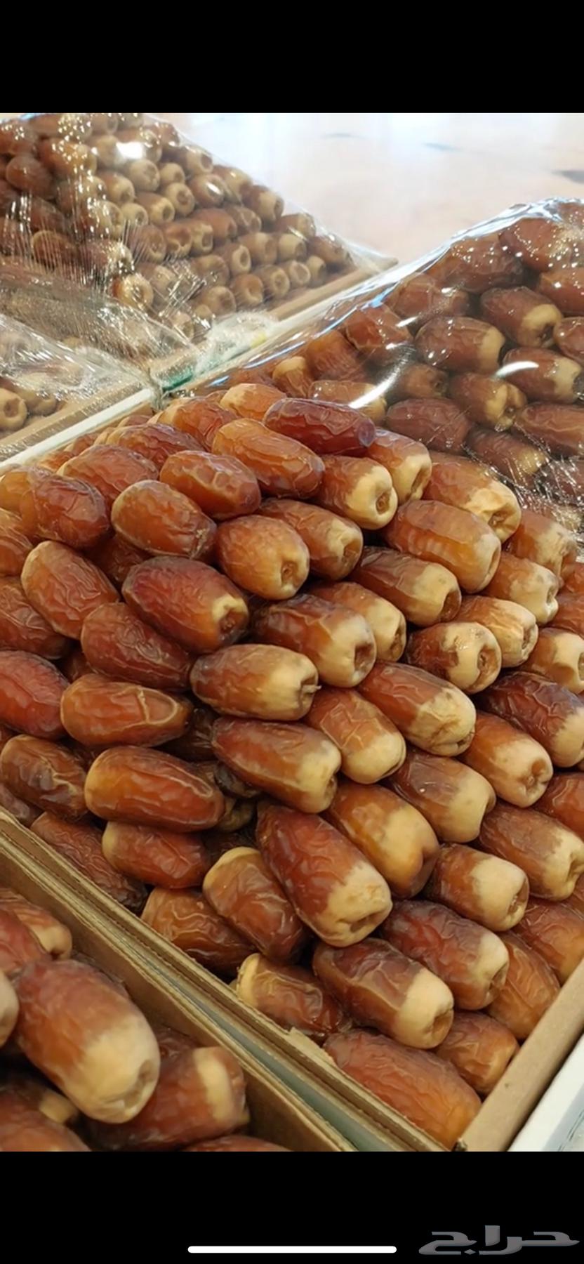 Tamr Saqee64543450552195110