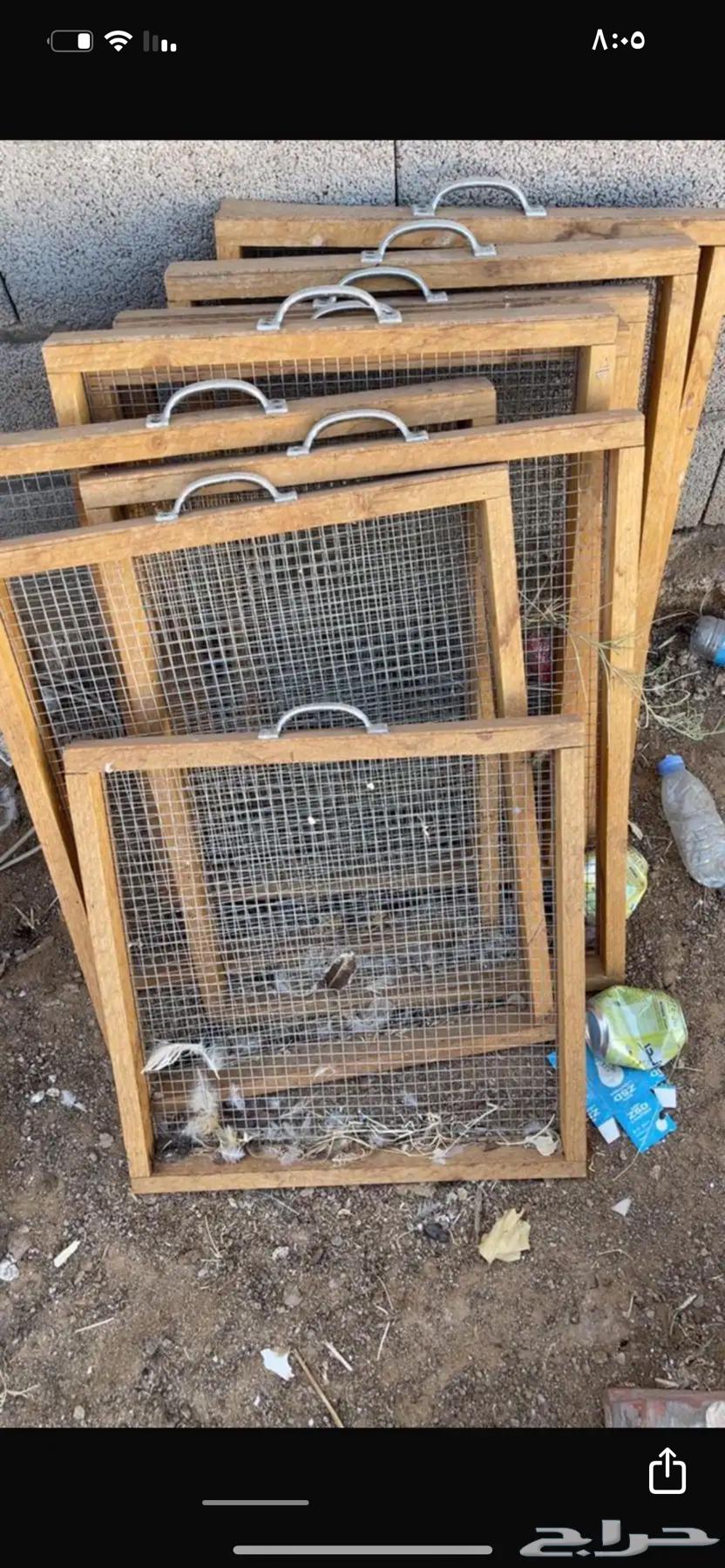 فقاسه 1200بيضه64536460097153113