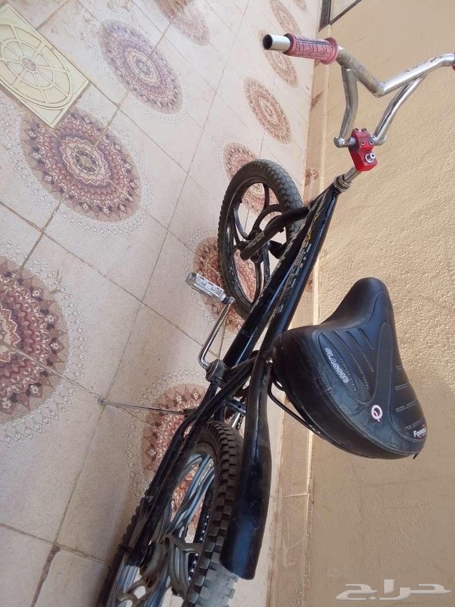 سيكل مقاس عشرين كوابر64539669937155110