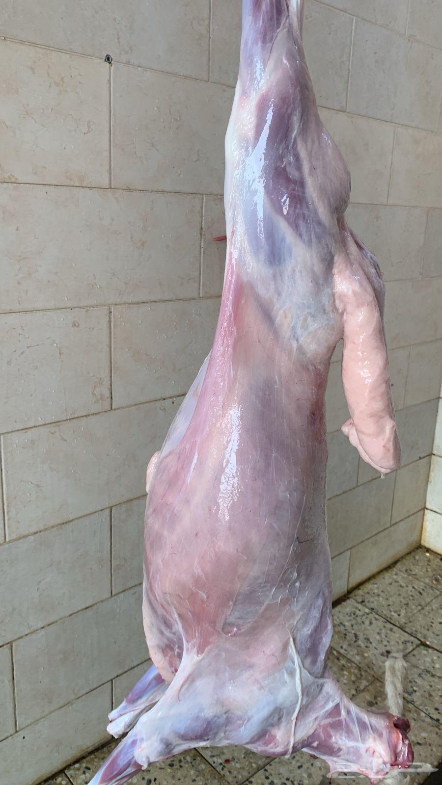 Ras's Slaughtered Sheep64540309419905111