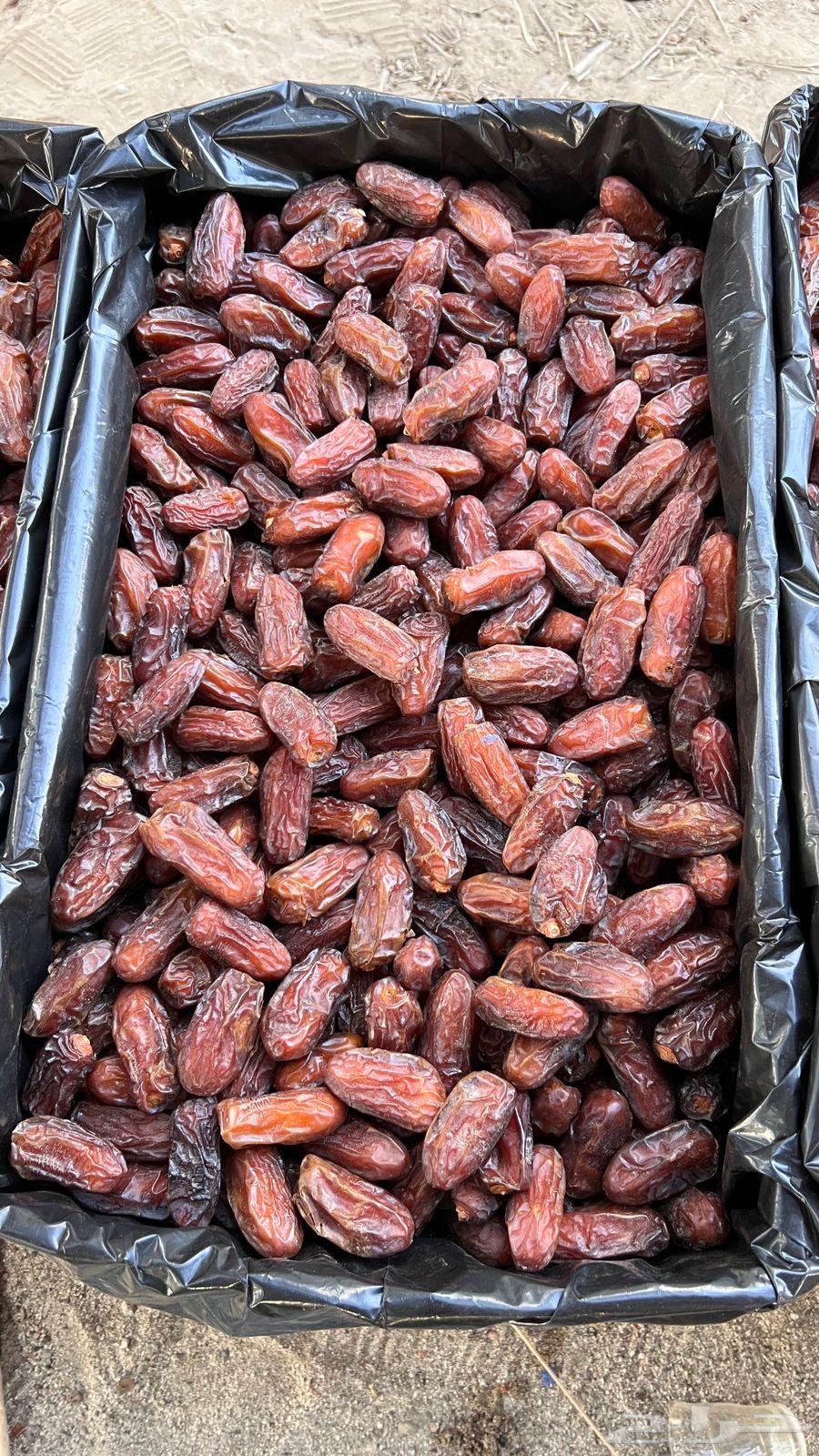 Premium Safri Dates64538092141443110