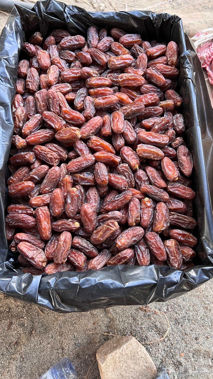 Premium Safri Dates64538092141443111