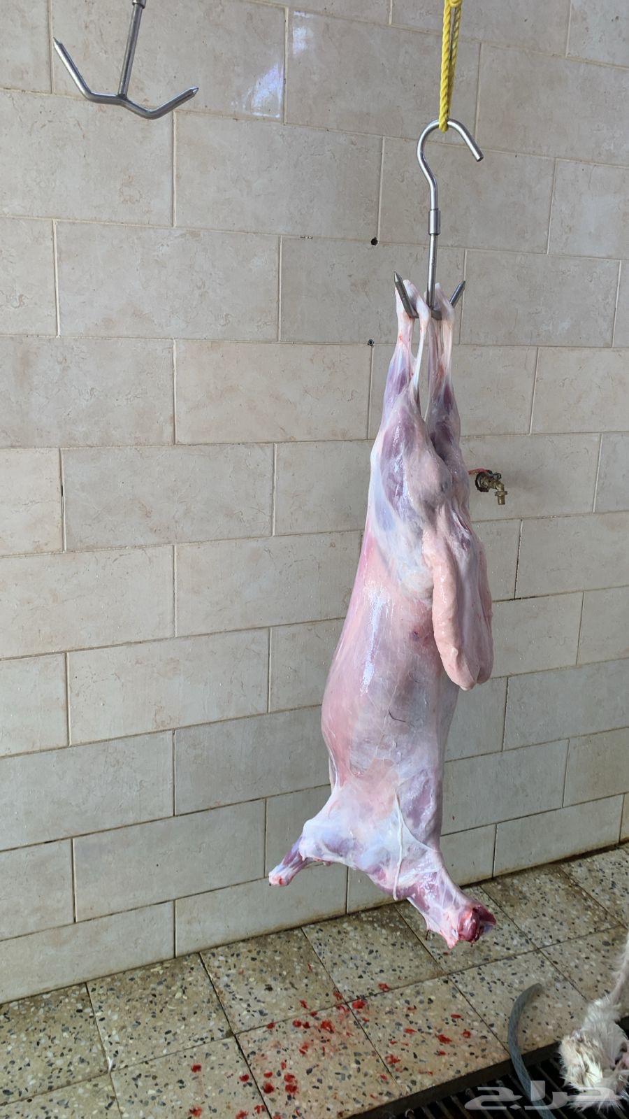 Ras's Slaughtered Sheep64540309419905110