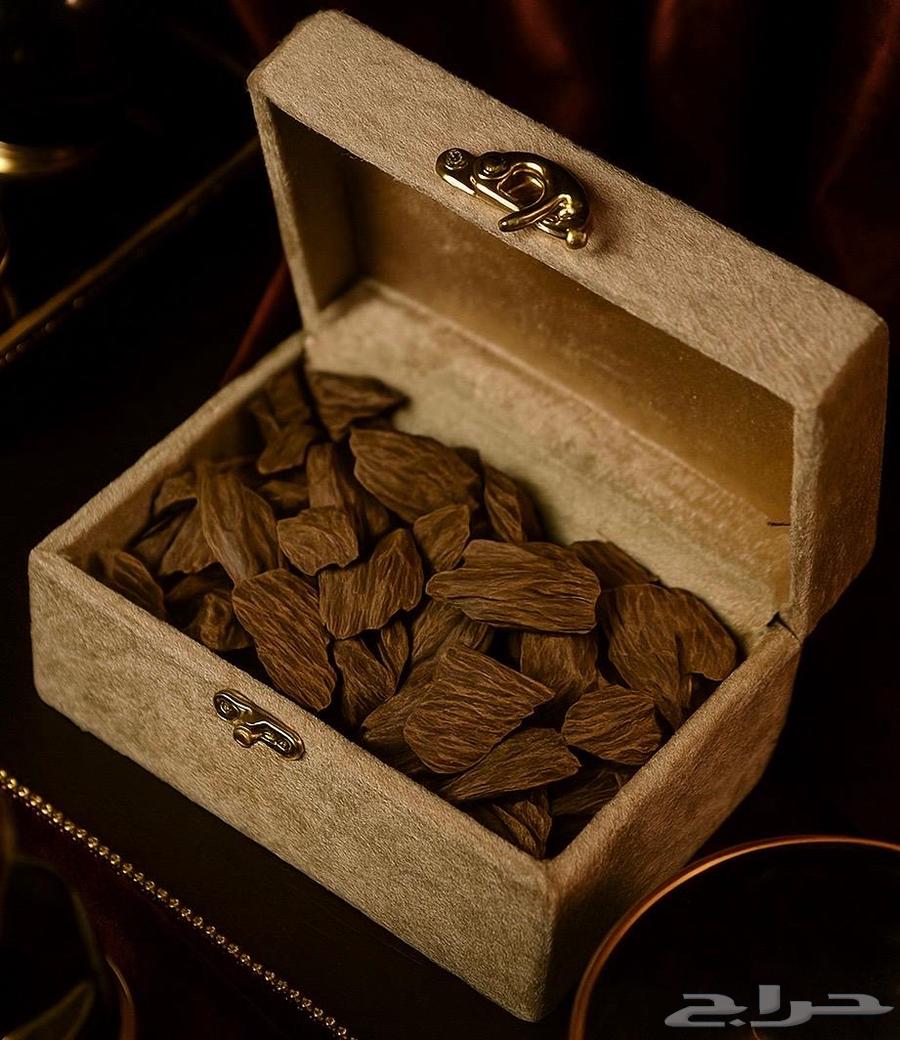 عود موروكي64538763013634110